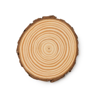 PINEA posavasos