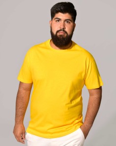 T-Shirt Regular Homem King...