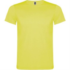 AKITA camiseta 2